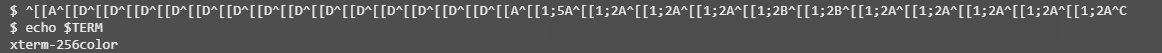 Linux（Debian 11）下终端出现乱码符号^[[A^[[D^的解决方案 - xiaoz博客